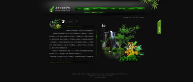 滇南古韵与数字未来 奥远科技以创新技术服务云南